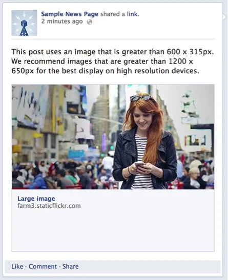 facebook-large
